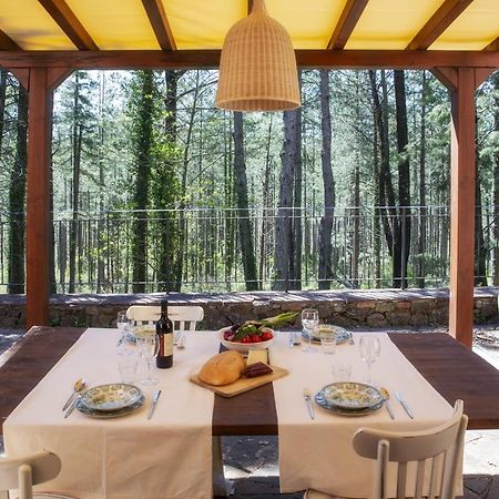 Podere Mocai - Cottage Nel Bosco Montieri Dış mekan fotoğraf