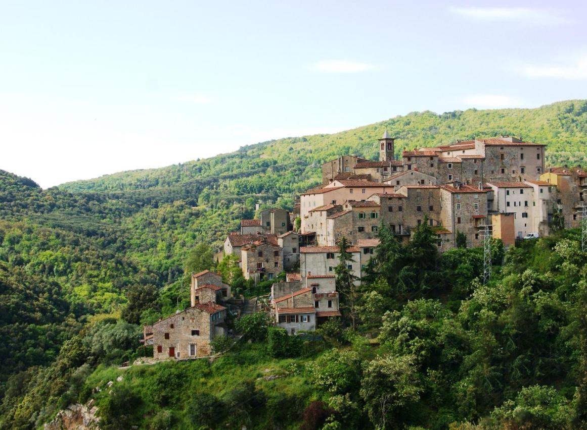 Podere Mocai - Cottage Nel Bosco Montieri Dış mekan fotoğraf