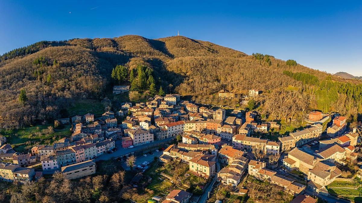 Podere Mocai - Cottage Nel Bosco Montieri Dış mekan fotoğraf
