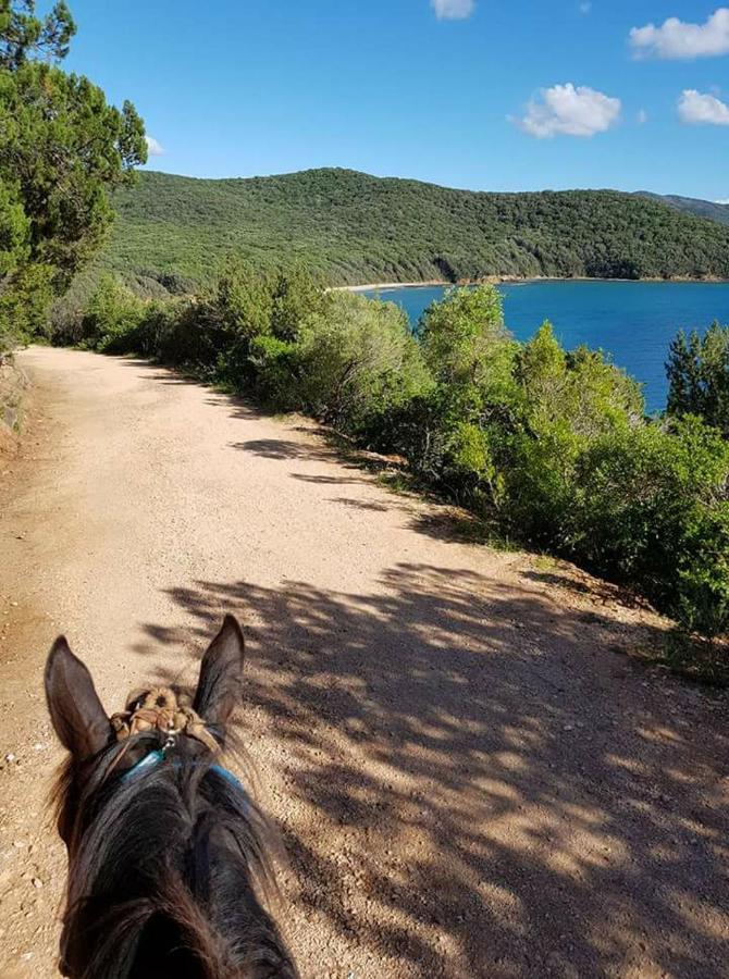 Podere Mocai - Cottage Nel Bosco Montieri Dış mekan fotoğraf
