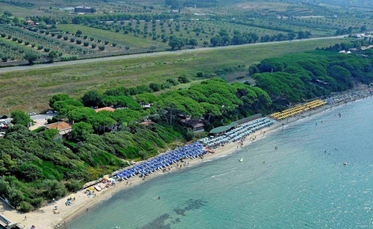 Podere Mocai - Cottage Nel Bosco Montieri Dış mekan fotoğraf