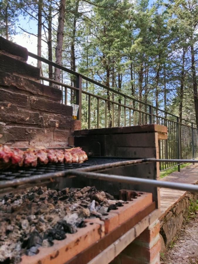 Podere Mocai - Cottage Nel Bosco Montieri Dış mekan fotoğraf