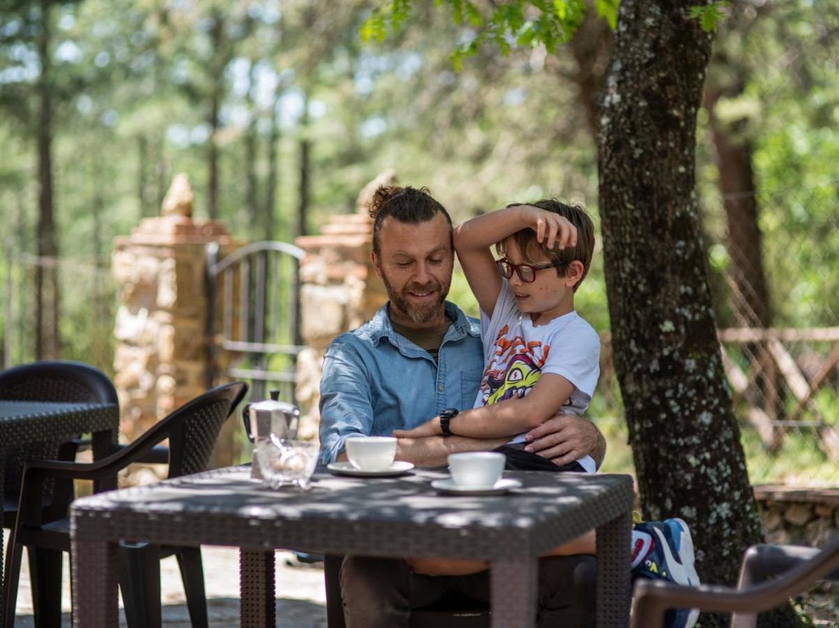 Podere Mocai - Cottage Nel Bosco Montieri Dış mekan fotoğraf