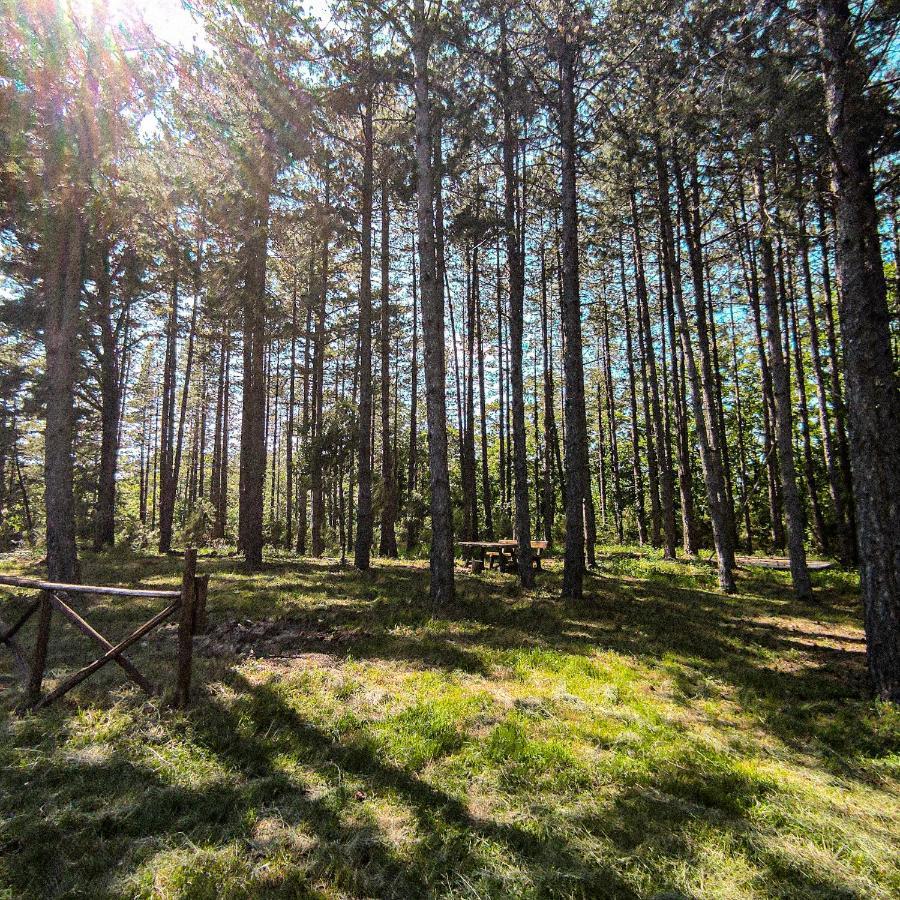 Podere Mocai - Cottage Nel Bosco Montieri Dış mekan fotoğraf